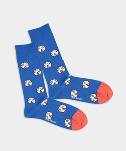 DillySocks, Fido - blaue Socken mit Hund Motiv - DillySocks, - Socken in Blau mit Hund Tier Motiv/Muster