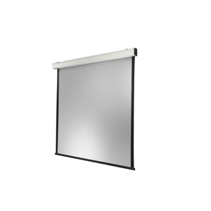 Celexon, Celexon Motorleinwand Expert XL 400, Celexon Motorleinwand Expert XL 400x400 cm 1:1