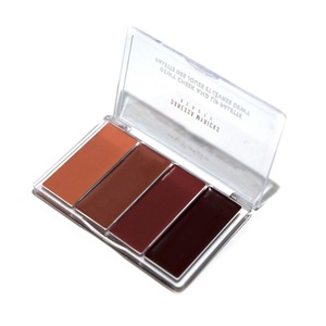 Danessa Face - Dewy Cheek & Lip Palette Dew It Undercover R