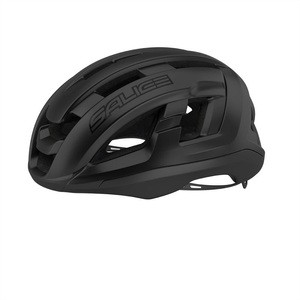Salice, Salice Gaviaxl Velohelm kohle