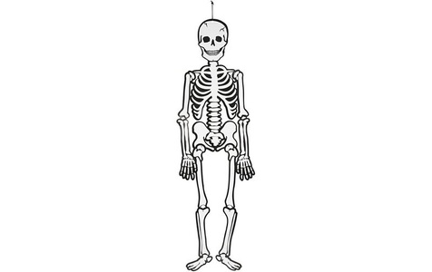 Creativ Company, Creativ Company Halloweenfigur Papierdeko Skelett 120 cm, 300g, Creativ Company Halloweenfigur Papierdeko Skelett 120 cm, 300g
