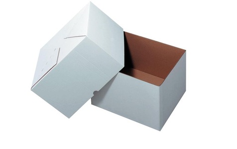 Antalis, Antalis Versandkarton 30.5 x 22 x 22 cm 2-teilig, 25 Stück, Weiss, Antalis Versandkarton 30.5 x 22 x 22 cm 2-teilig, 25 Stück, Weiss