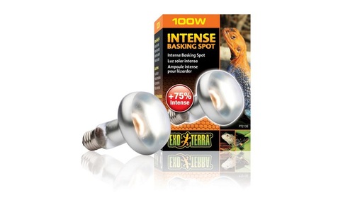 Exo Terra, Exo Terra Intense Basking Spot S25/100W, Exo Terra Intense Basking Spot Wärmespotlampe 100W (1 Stk)