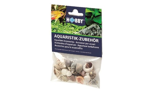 Hobby, HOBBY Sea Shells Set S 20Stück, Hobby Aquaristik Dekoration Sea Shells Set, S, 20 Stück