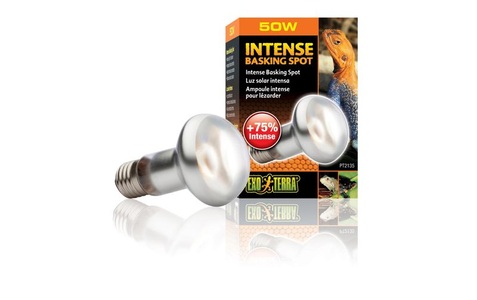 Exo Terra, Exo Terra Intense Basking Spot S20/50W, Exo Terra Intense Basking Spot Wärmespotlampe 50W (1 Stk)