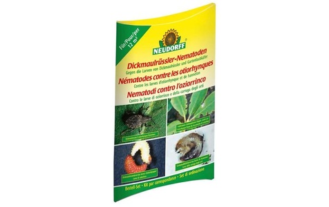 Neudorff, NEUDORFF Gutschein Dickmaulrüssler-Nematoden, Neudorff Nematoden Gutschein Dickmaulrüssler