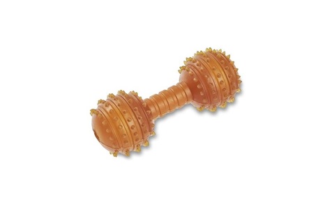 Wolters, Wolters Hunde-Spielzeug Pure Nature Dental Hantel, S, 11 cm, Wolters Hunde-Spielzeug Pure Nature Dental Hantel, S, 11 cm