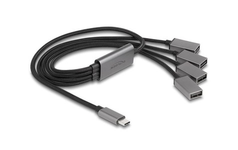 Delock, DeLock USB Hub 2 0 4x A Type C 60 cm Schnittstellenkarte ? Div Karten