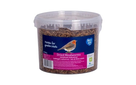 CJ Wildlife, CJ Wildlife Vogelfutter Getrocknete Mehlwürmer, 900 g, CJ Wildlife Vogelfutter Getrocknete Mehlwürmer, 900 g