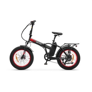 Argento, Argento E-Bike MiniMax GT, Argento E-Bike MiniMax GT
