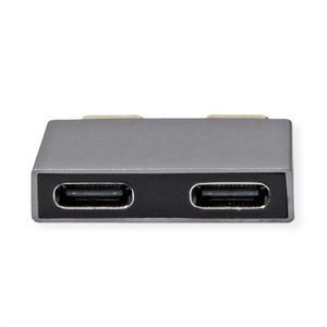 ROLINE, ROLINE USB 3.2 Gen 2 Adapter, 2x USB Typ C - 2x Typ C, ST/BU, silberfarben, ROLINE USB 3.2 Gen 2 Adapter, 2x USB Typ C - 2x Typ C, ST/BU, silberfarben