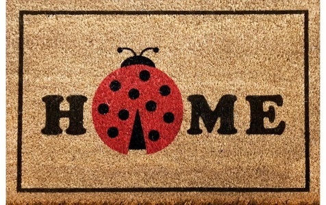 undefined, Home - Fussmatte - 40 x 60 cm, Conceptum Hypnose Fussmatte Marienkäfer 40 cm x 60 cm