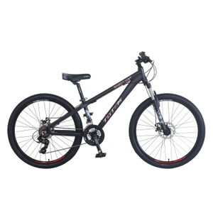 V - Velos, Mountainbike 26