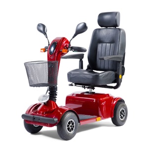 Ruby Diverses, Elektromobil GO 10 km/h rot, Elektromobil GO 10 km/h rot