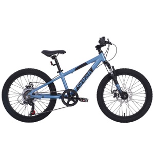 undefined, Mountainbike 20