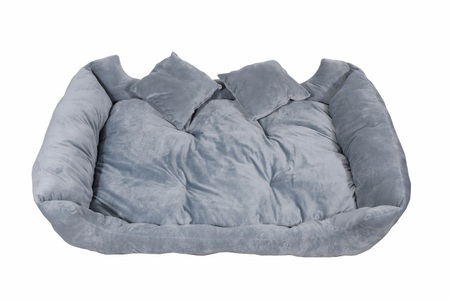 R - Teddys, Hundebett grau