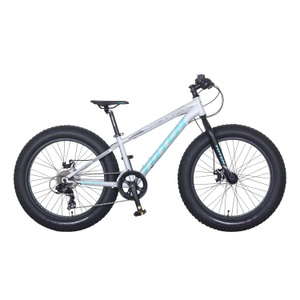 V - Velos, MTB Fatbike 24