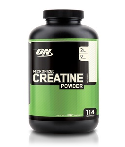 Protein, Optimum Nutrition Micronized Creatin Pulver 634g, Micronized Creatine Powder (634g)