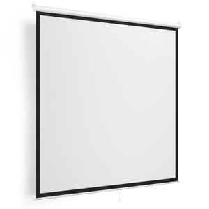 Ruby Diverses, Beamer Leinwand 200 x 200 cm, Leinwand Beamer 200 x 200 cm