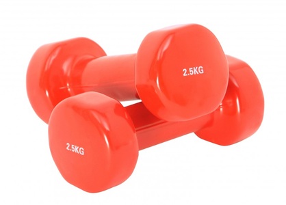 Jaden, Hantel vinyl 2x 2.5 kg - Doppelpack, Kurzhantel Vinyl 2 x 2.5 kg