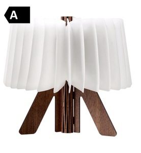 Home - Neonlampe R-Lampe - Braun und Weiss - Weiss und Braun