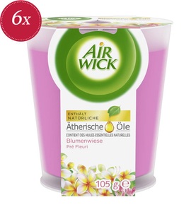AIR WICK, Air Wick - 6er-Set Wohlfühl-Duftkerze Blumenwiese, 