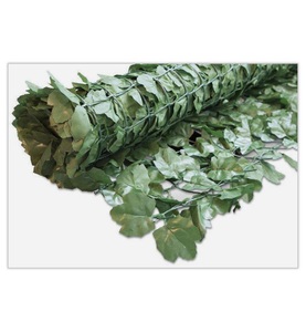 Windhager, Windhager Sichtschutz Hecke Ahorn 1x3m, Windhager Sichtschutz Hecke Ahorn 1x3m grün