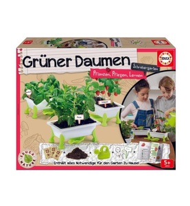 Educa, Educa - Gruner Daumen Erdbeeren-Minz-Basilikum (DE), Educa - Grüner Daumen Pflanzen, Pflegen, Lernen (DE), One Size