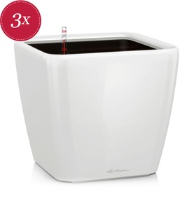 Lechuza, Lechuza - 3er-Set Blumenkästen mit Integriertem Bewässerungssystem Quadro Premium 35 LS - Weiss, Lechuza Quadro Premium 35Ls Weiss