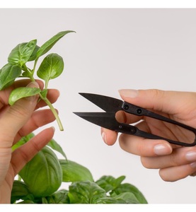 Véritable, Veritable - Véritable® Mini Schere, 