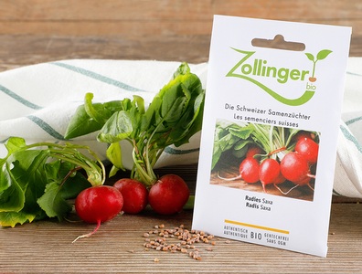 Zollinger Bio Samen, Bio Gemüsesamen Radiesli Saxa, 5g, 