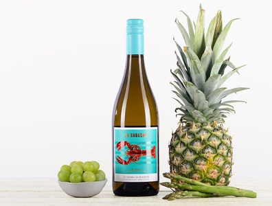 Casa Rojo, Bio Sauvignon Blanc 