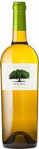 Domaine de la Jasse, Domaine de la Jasse Blanc de Blancs Vin de Pays d'Oc IGP - 75cl - Midi - Languedoc-Roussillon, Frankreich, Domaine de la Jasse Blanc de Blancs Vin de Pays d'Oc IGP - 75cl - Midi - Languedoc-Roussillon, Frankreich