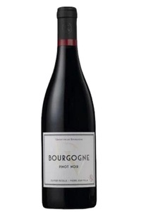 Domaine Decelle-Villa, Domaine Decelle-Villa Bourgogne Pinot Noir AOC Rouge - 75cl - Burgund, Frankreich, 