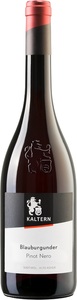 Kellerei Kaltern, Kellerei Kaltern Pinot Nero Alto Adige DOC - 75cl - Südtirol, Italien, Kellerei Kaltern Pinot Nero Alto Adige DOC - 75cl - Südtirol, Italien