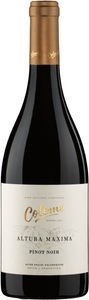 Bodega Colomé, Bodega Colomé Pinot Noir Altura Máxima - 75cl - Salta, Argentinien, 