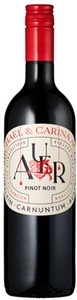 Weingut Michael Auer, Weingut Michael Auer Pinot Noir - 75cl - Niederösterreich, Österreich, Weingut Michael Auer Pinot Noir - 75cl - Niederösterreich, Österreich