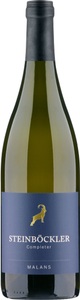 Rutishauser-Divino, Rutishauser-Divino Steinböckler Completer Barrique Malans AOC Graubünden - 75cl - Bündner Herrschaft, Schweiz, 