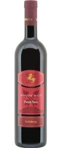 Rutishauser, Rutishauser Herzog Welf Pinot Noir Iselisberg AOC Thurgau - 75cl - Ostschweiz, Schweiz, 