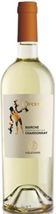 Velenosi Ercole Vitivinicola Ascoli Piceno, Velenosi Ercole Vitivinicola Ascoli Piceno Chardonnay Circum Marche IGT - 75cl - Marche, Italien, Velenosi Ercole Vitivinicola Ascoli Piceno Chardonnay Circum Marche IGT - 75cl - Marche, Italien