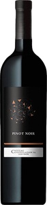 Château Constellation, Pinot Noir Valais AOC 2016 - Château Constellation - 75 cl - Rotwein - Wallis, Schweiz, 