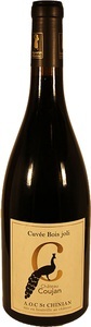 Château Coujan, Château Coujan Cuvée Bois Jolie AOC St. Chinian - 75cl - Midi - Languedoc-Roussillon, Frankreich, Château Coujan Cuvée Bois Jolie AOC St. Chinian - 75cl - Midi - Languedoc-Roussillon, Frankreich
