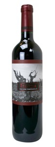 Bodegas Tempore, Bodegas Tempore Essenzia Old Vine Tempranillo - 75cl - Oberer Ebro, Spanien, 
