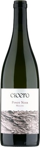 Rutishauser-Divino, Rutishauser-Divino Cicero Pinot Noir Malans AOC Graubünden - 75cl - Bündner Herrschaft, Schweiz, Rutishauser-Divino Cicero Pinot Noir Malans AOC Graubünden - 75cl - Bündner Herrschaft, Schweiz