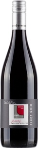 Winzerhof Landauer-Gisperg, Winzerhof Landauer-Gisperg Pinot Noir Selektion Thermenregion - 75cl - Thermenregion, Österreich, 