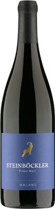 Rutishauser-Divino, Rutishauser-Divino Steinböckler Pinot Noir Malans AOC - 75cl - Bündner Herrschaft, Schweiz, Rutishauser-Divino Steinböckler Pinot Noir Malans AOC - 75cl - Bündner Herrschaft, Schweiz
