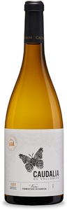 Bodega Vallobera, Vallobera Caudalia Rioja DOCa Bodega Vallobera - 2020 - Oberer Ebro, Spanien