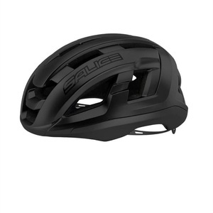 Salice, Salice Gavia Velohelm kohle