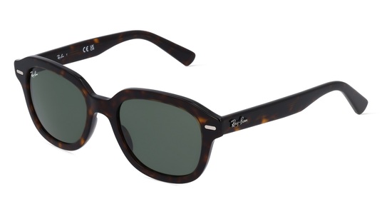Ray-Ban, Ray-Ban Sonnenbrillen RB4398 Erik 902/31