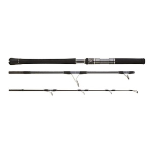 Hearty Rise, Hearty Rise Skywalker Jigging Spinning - Salzwasser Spinnrute